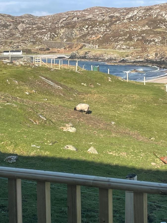 Sea View Cabin Clashnessie Dış mekan fotoğraf